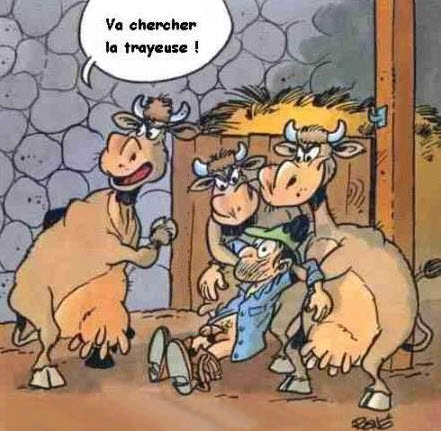 Humour vache Trayeuse-a-vaches