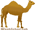 أسماء الحيوانات بالانجليزية بالصور(Pictures(English/French): Animal names Camel