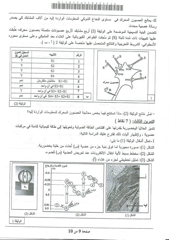 موضوع العلوم الطبيعية بكالوريا 2014 شعبة علوم تجريبية 1100445_orig