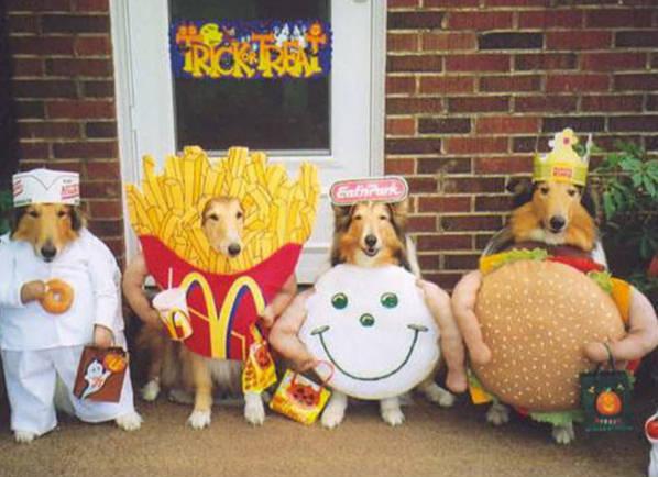 Dearheart and Swag's wedding! Funny-pets-halloween-costumes-dogs-dressed-up-in-fast-food-outfits