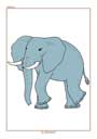 FLASHCARDS  IN LINGUA INGLESE - Pagina 2 Animals-fleshcards.pdf_thumbs