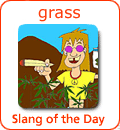 [Từ vựng] American Slang - Tiếng lóng phổ biến của người Mỹ - Page 4 Grass