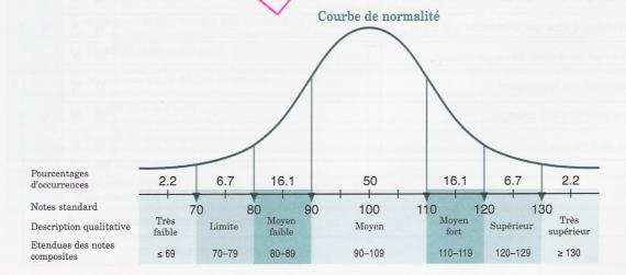 test-wais-iv-le-fonctionnement-d-un-non-sur-dou