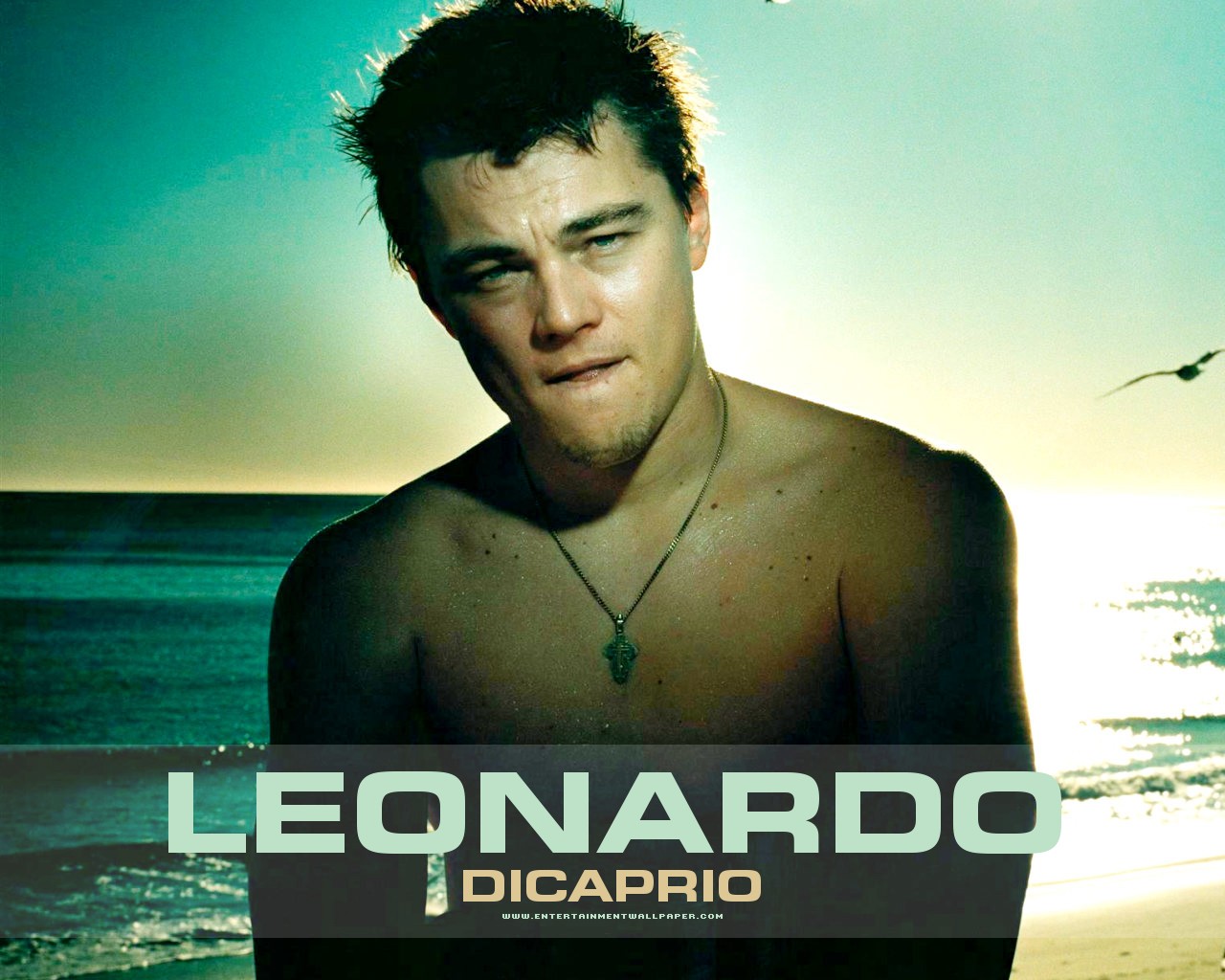 leoɴαrdo dι cαprιo ♥ Leonardo_dicaprio01