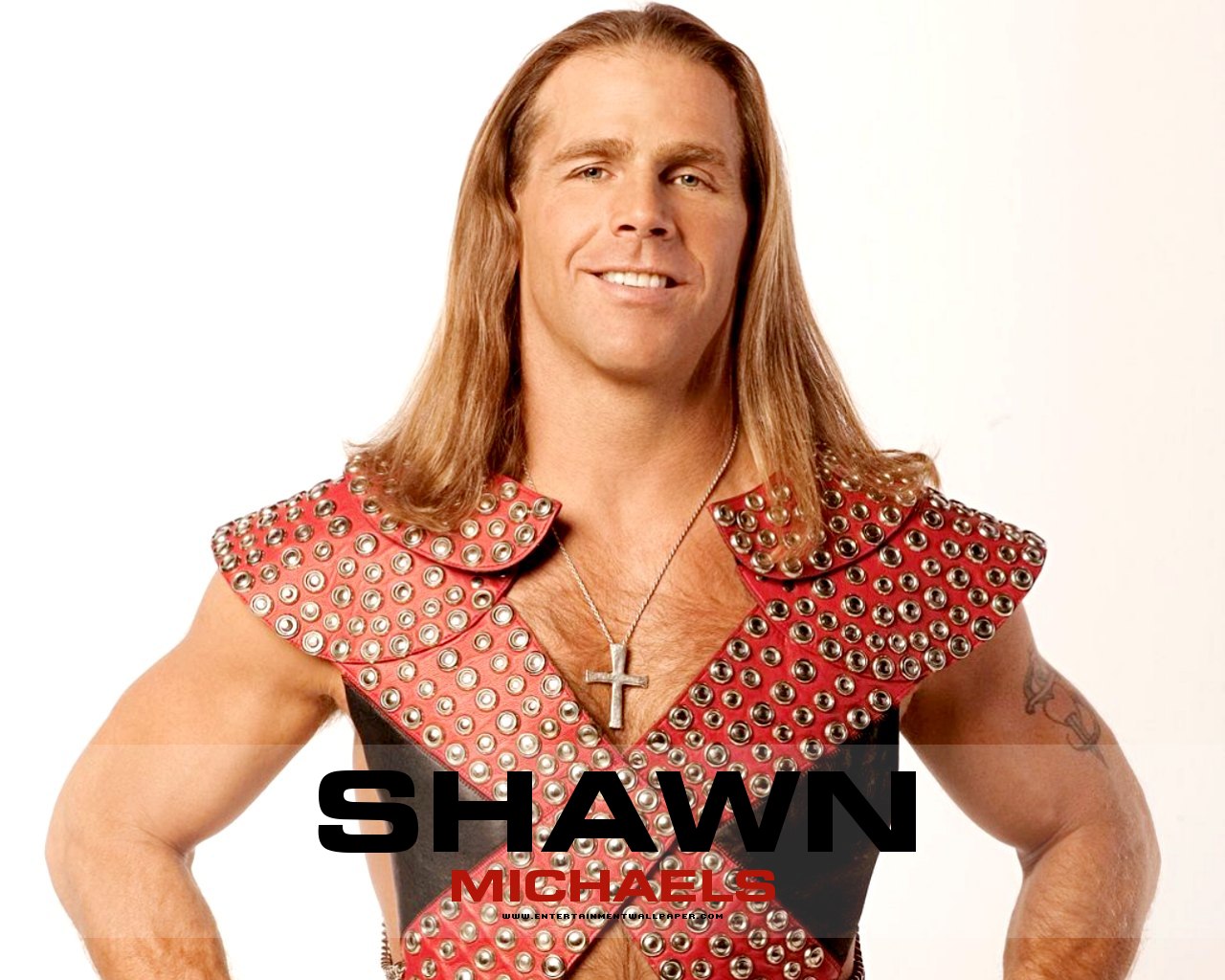    Shawn_michaels01