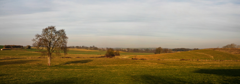 Panoramique de La Celette 91638371