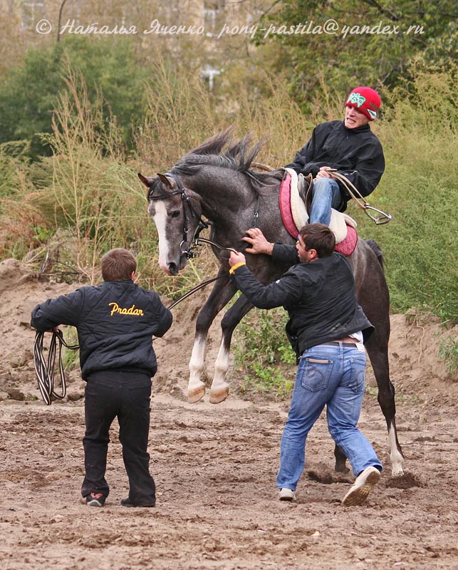 Box de Quito de Bercé. C4f5c273