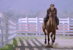 Image de ... Seabiscuit3