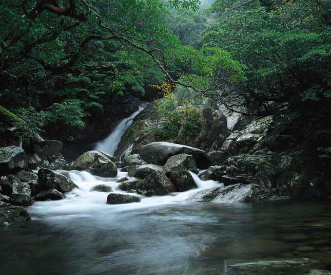 Zanimljivosti iz  geografije - Page 2 Yakushima-17