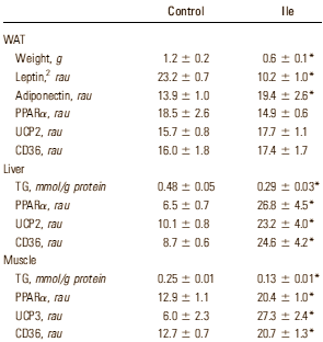 L'isoleucine contre la graisse Isoleucinefat2