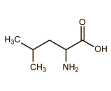 La leucine Leu0