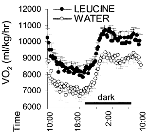 La leucine Leucinefat2