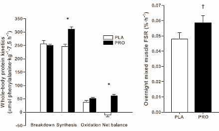 Un Shake De Protéines Avant Le Couché Stimule La Croissance  Proteinbeforesleep2