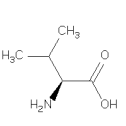  BCAA / ARGININE / CARDIO et fonte musculaire Valinestructure