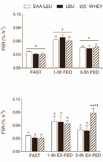 prise -  La Leucine Prise Seule Ne Fonctionne Pas Wheyleucineeaas