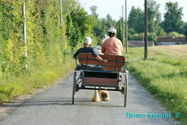 Debourrage à l'attelage pour Némo 0708044