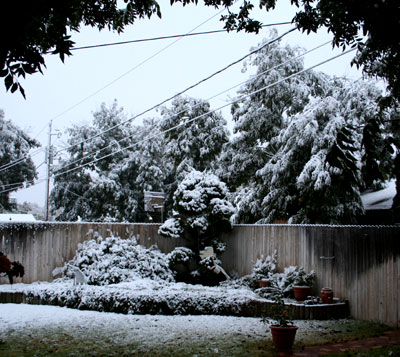 Fotografije zimi/e ,leda i ledenjaka Snow