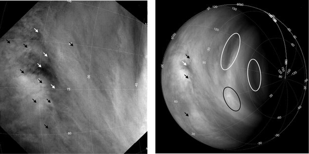 Los rápidos vientos de Venus se están acelerando Tracking_clouds_on_Venus_large