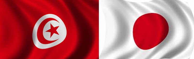 Bourse pour pays en developpement Drapeaux_tunisien_japonais