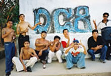 Pandillas Juveniles Dro_2