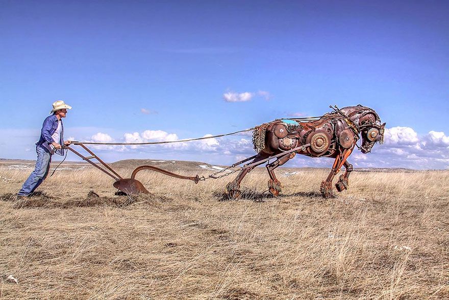 Un artiste transforme d’anciens équipements de ferme en de fabuleuses sculptures d’animaux.  Welded-scrap-metal-sculptures-john-lopez-22