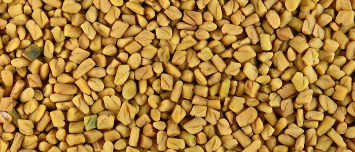 فوائد الحلبة (سبحان الله ) Fenugreek