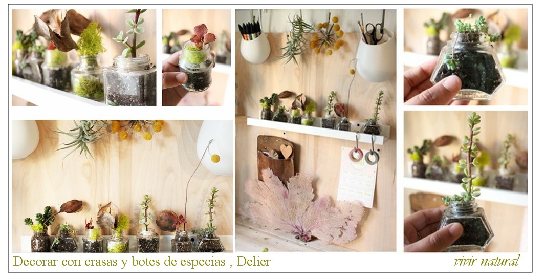 IDEAS BUENAS - Página 11 Ideas-de-jardines-delier