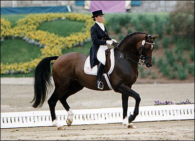 [Résultats] Concours Qualificatif de Dressage V Image_Dressage