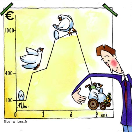 Qu'est ce qu'un marché? Cycle-vie