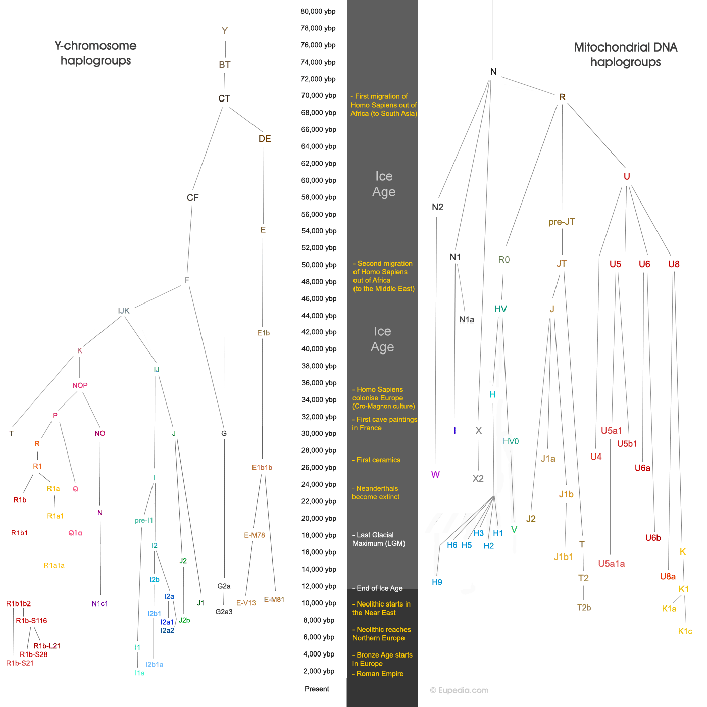 Le racisme c'est mal et ça me fait mal. - Page 3 Timeline_comparison