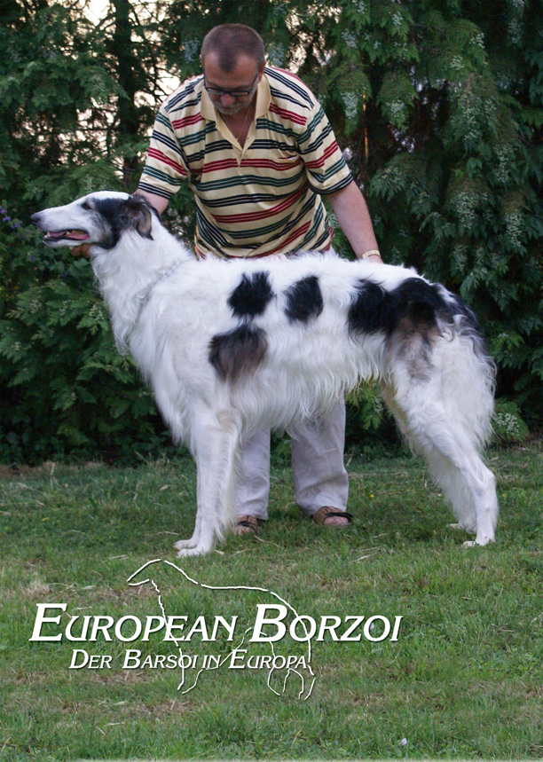 Ruski hrt,  Borzoi, Russian wolfhound, RUSSKAYA PSOVAYA BORZAYA - Page 2 Frontcover_summer07