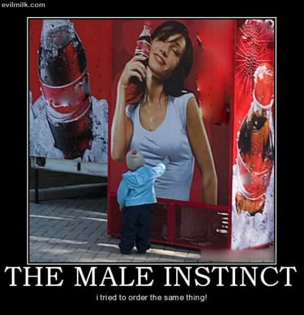 Random picture thread - Page 3 Male_Instinct