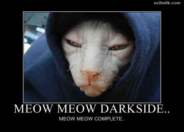 Funny shit Meow_Meow_Darkside