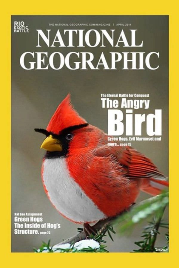 Worth a watch, but not worth its own thread. - Page 3 The_Angry_Bird