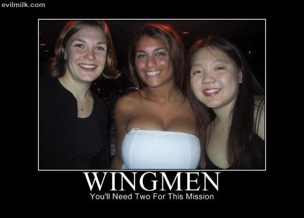 Random picture thread - Page 2 Wingmen___Copy