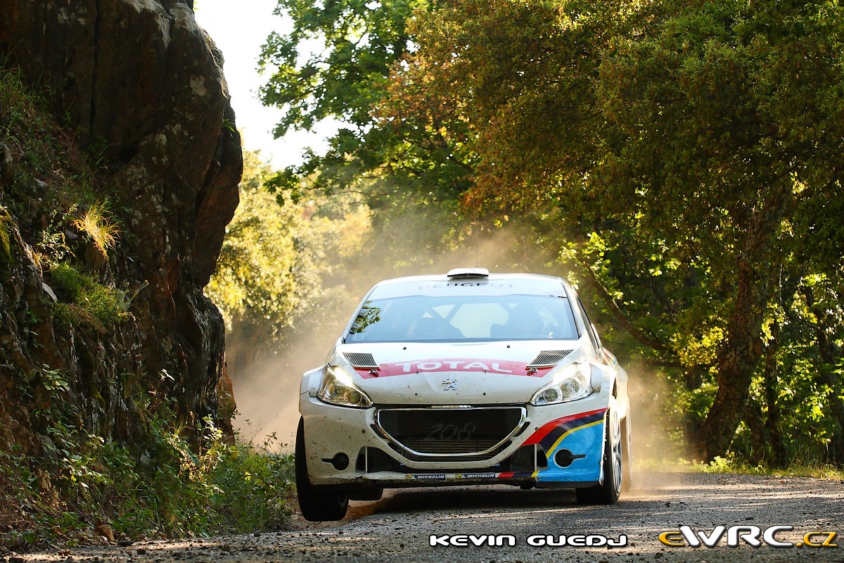  ERC 2013 - European Rallye Championship - Página 19 Kgu_andreucci19
