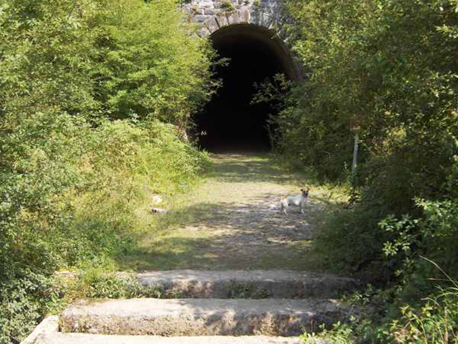 Asegura la Marina 3 vehículos blindados, armamento y drogas en túnel de Reynosa. Tunel-aspecto-1