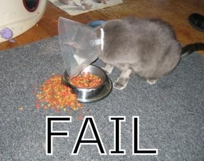 FAIL Fail