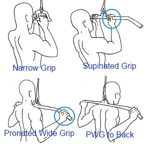 العضلات الرئيسيه و تمارينها الاساسية - الصــدر و الظهـــر Lat_Pulldowns_Wide_Grip_or_Narrow_Grip