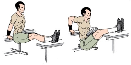 لياقة ورشاقة آدم Weighted-bench-dips