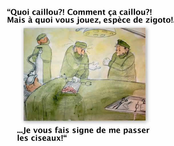 HUMOUR en dessins - 3 - Page 29 CBciseaucillou