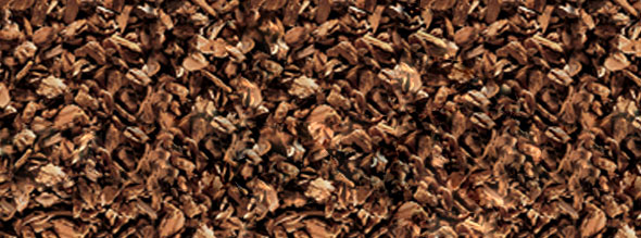 Exo Terra fir bark (bark for reptiles) Forest_bark