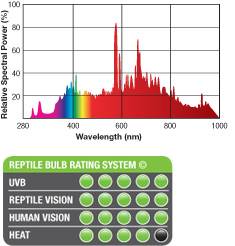  Avis et conseil : aménager notre terrarium Sunray_bulb_rating