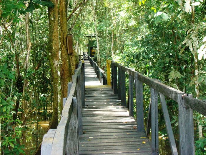 EL MUNDO EN TODO SU ESPLENDOR - Página 25 Amazonas-leticia-parque-nacional-natural-amacayacu-53404