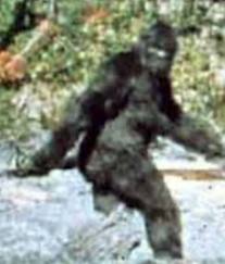 Un team di scienziati ha confermato l’esistenza di una nuova specie di ominide comunemente chiamato Bigfoot o Sasquatch Dna-fotogramma