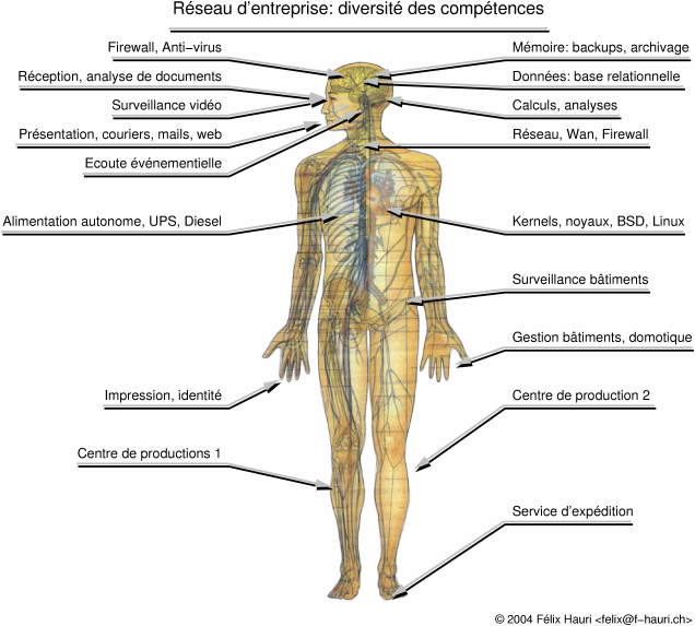 biologie Corps-humain