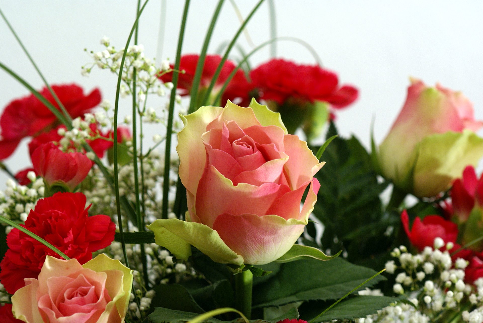 مقتطفات ديكوريه أرشاديه لك Roses-bouquet-00455