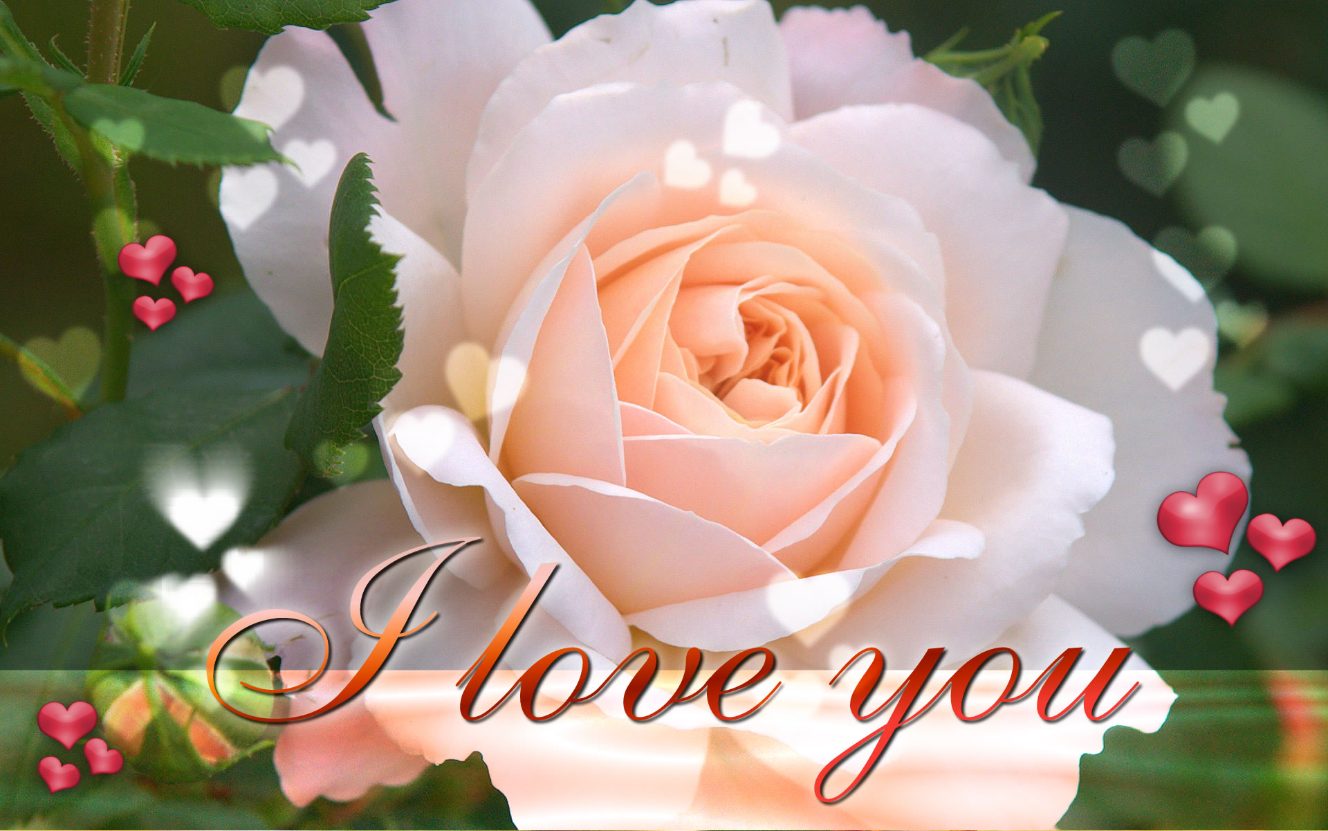 لعشاق الرومانسية I-love-you-ecard-wallpaper-22