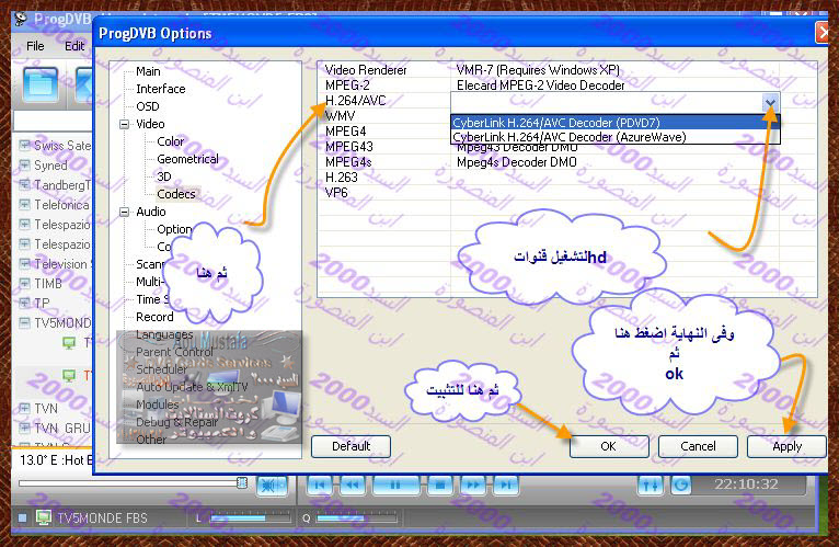   كيفية ضبط الكوديك على Prog dvb  81813525464251934509