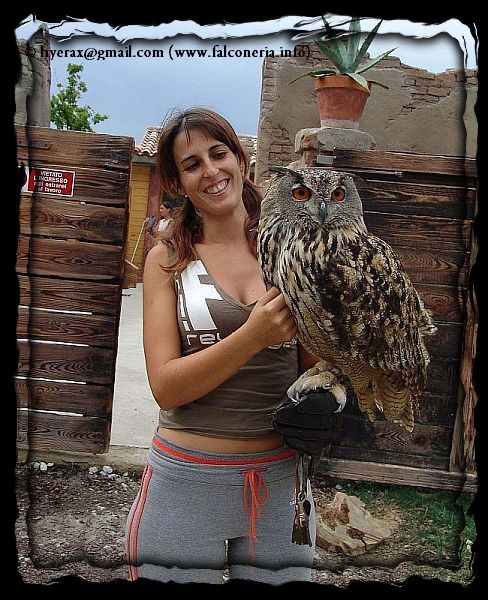 Civetta sul binario 1 - Pagina 2 Gufo_reale_eagle_owl_021a